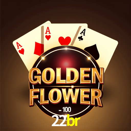 Programa VIP 22br